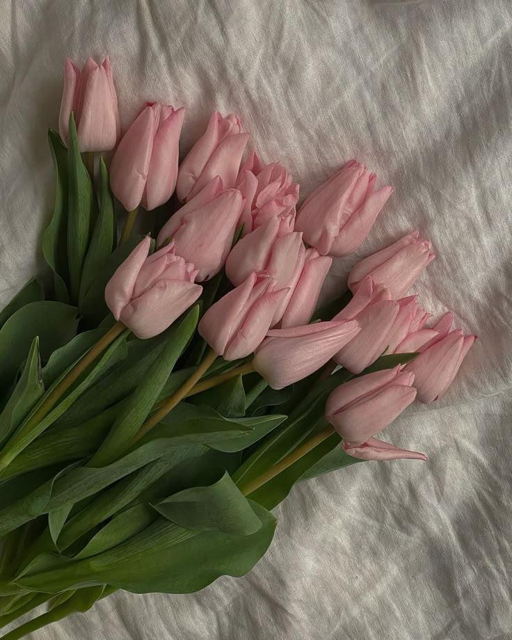 Eternal Embrace: Timeless Floral Symphony
